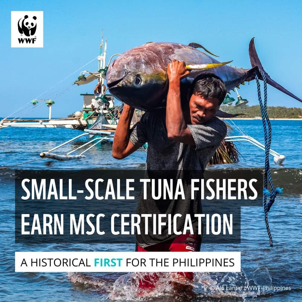 Handline tuna fishers for sustainable fishing: Let's take a day